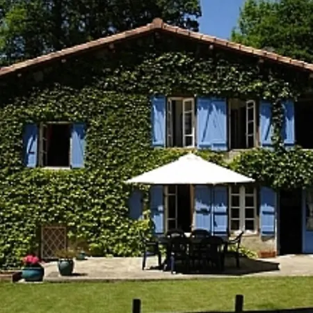 Les Tournesols * Lavelanet